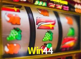 Apostas Esportivas na Win44: Um Guia Completo